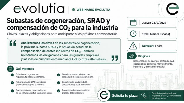 Subastas de cogeneraci&oacute;n, SRAD y compensaci&oacute;n de CO2: claves para la industria en los pr&oacute;ximos meses