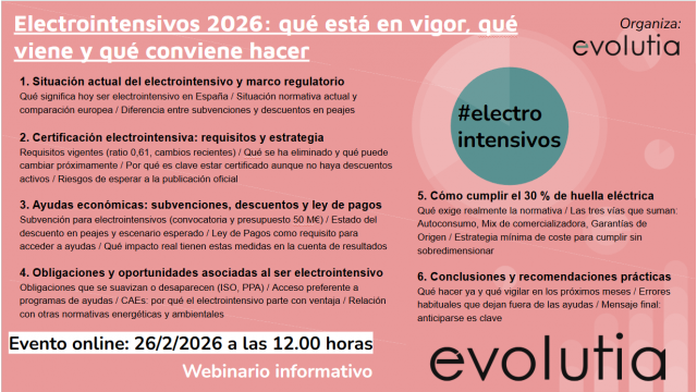 Electrointensivos 2026: claves regulatorias, ayudas y obligaciones pr&aacute;cticas