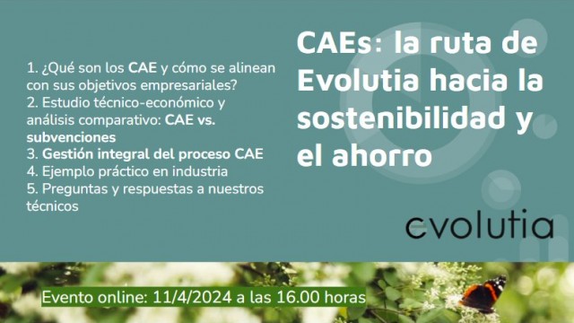 CAEs: Driving Sustainability and Energy Efficiency in Your Business