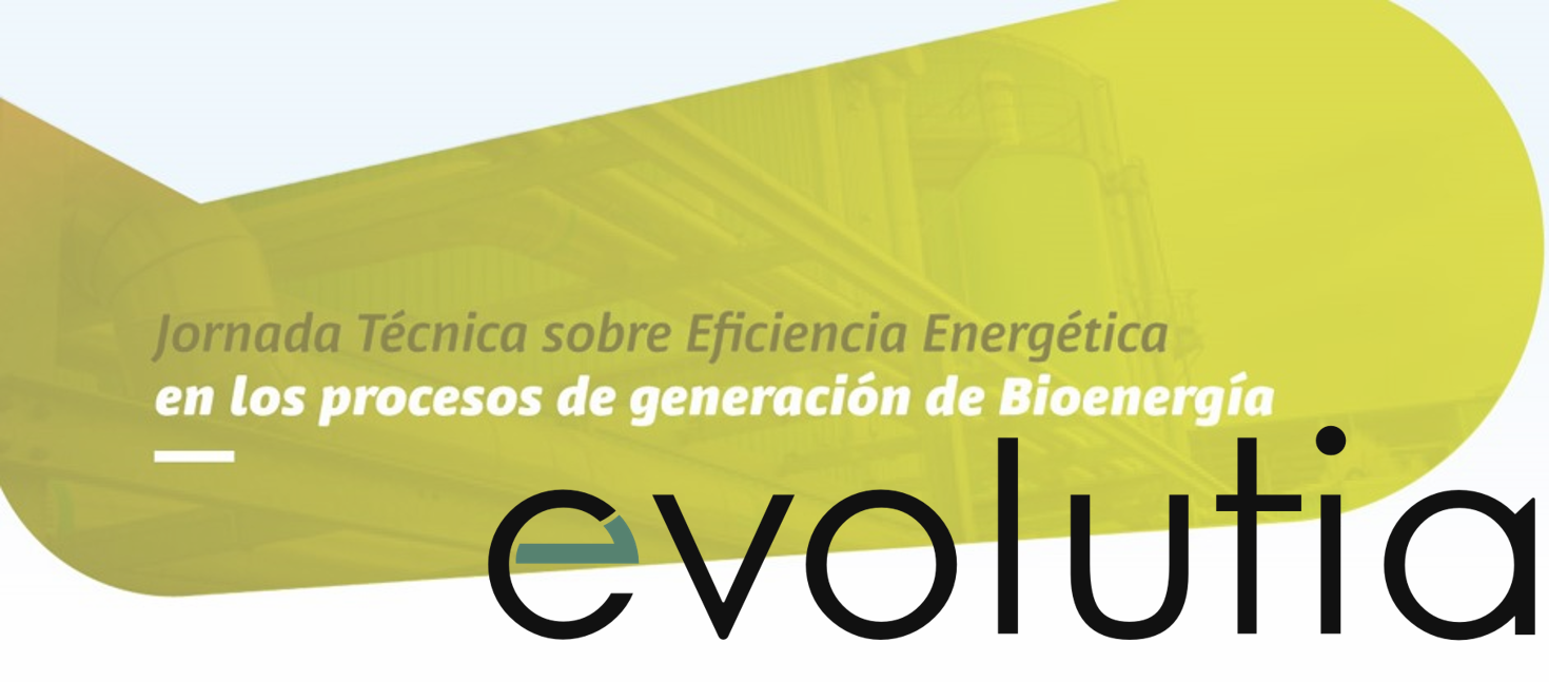 EVOLUTIA CONTRIBUTES TO TECHNICAL WORKSHOP ENERGY EFFICIENCY IN BIOENERGY GENERATION PROCESSSES IN CALI (COLOMBIA)